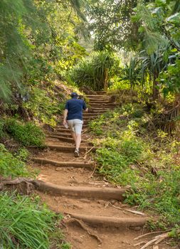 Senior hiker walsk up the steep Kalalau trail from Ke'e Beach on north coast of Kauai