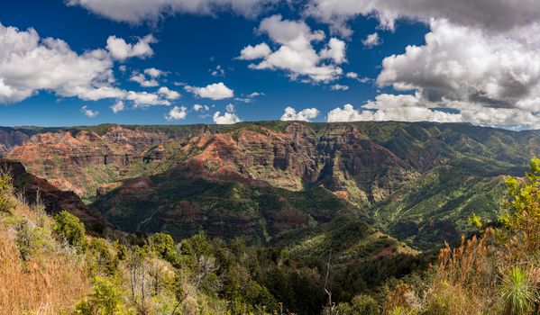 Broad panorama of the red rocks of Waimea canyon from the Iliau Nature trail on Kauai in Hawaii