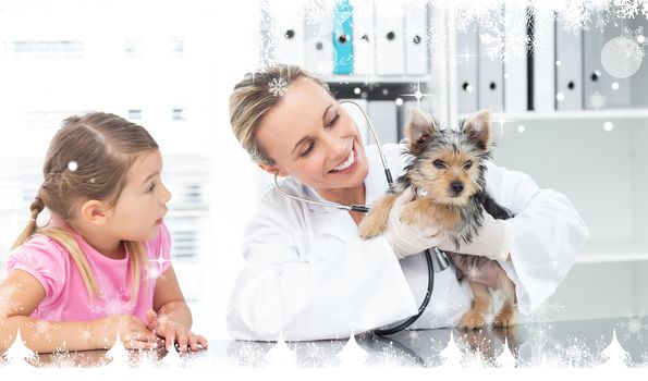 Composite image of a Veterinarian examining puppy with girl against snow falling