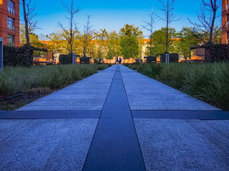 Concrete pathway with colorful bushes and buildings around