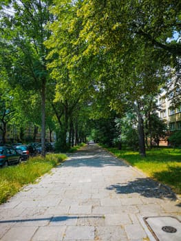 Pavement next to street with green trees above at summer sunny day