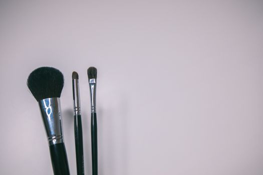 Makeup brushes set on white background  is ready for a your text