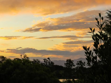 Sunset view with golden clouds and woods silhouetted in the foreground.