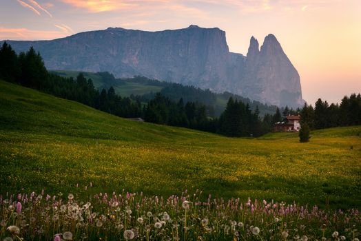 Beautiful Scenery from Alpe di Siusi, Italy in summer sunrise light with small wooden cottage and sharp mountains of dolomite. Seiser Alm with Langkofel Group South Tyrol, Italy