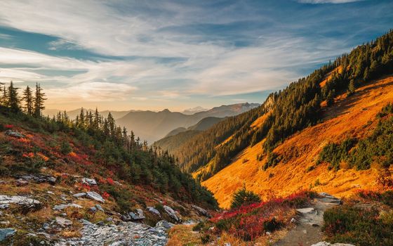 Beautiful autumn landscape with mountains at sunset. Yellow trees on green mountain hills illuminated with sunshine. Fall natural background.