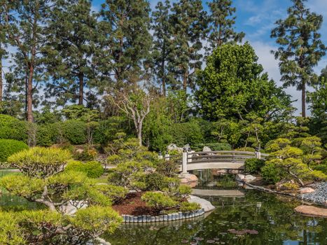 USA Gardens, Parks Bridges, Pond Earl Burns, Miller Japanese Garden, Long Beach Trees Shrubs.