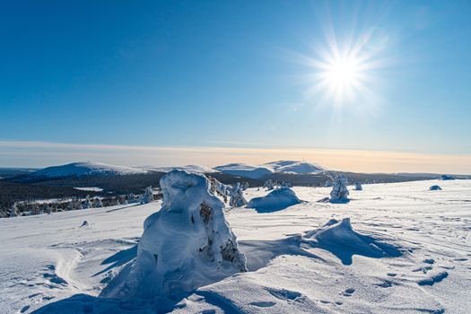 Winter Lapland region with morning sun light.