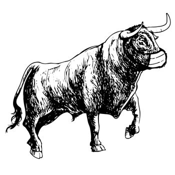 Freehand illustration of bull with mask on white background, doodle hand drawn