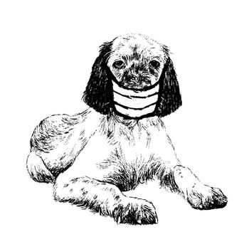 freehand sketch illustration of English setter dog with mask doodle hand drawn