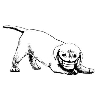 freehand sketch illustration of Labrador Retriever dog with mask doodle hand drawn