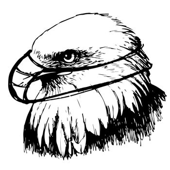 Black and white eagle with mask hand drawn on white background