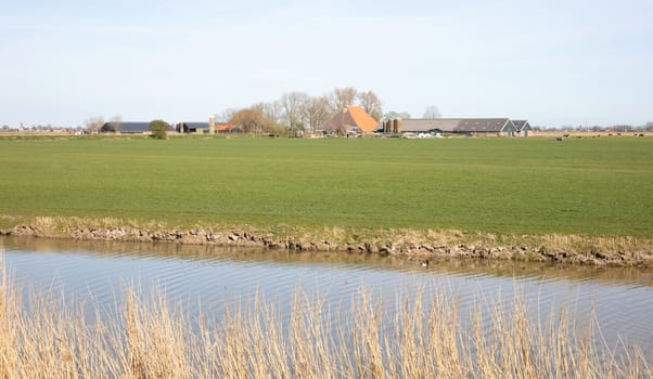 Farm in the north of the Netherlands (Friesland)