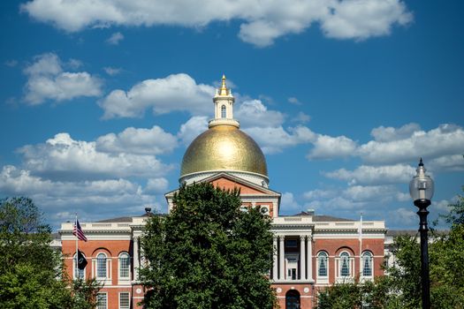 Gold dome of Boston's Massachussett's State House beyond green tree under blue sky