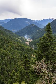 Forest at Evrytania region, Greece