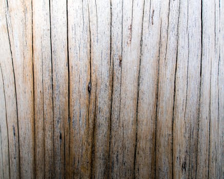 Detail of old stump surface , wood texture