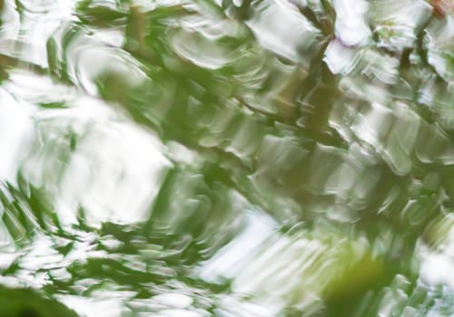 Reflection of sunlight and trees on the moving water surface