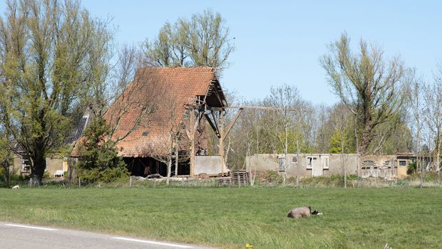 Farm in ruin, Friesland, north part of the Netherlands