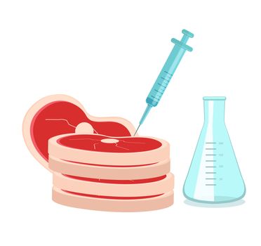 Synthetic meat is grown in the laboratory from stem cells. Artificial meat product, food technology of the future. illustration.