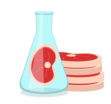 Synthetic meat is grown in the laboratory from stem cells. Artificial meat product, food technology of the future. illustration.