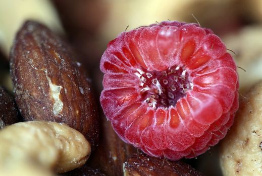Macro Close Up Fruit Rasberry and nuts