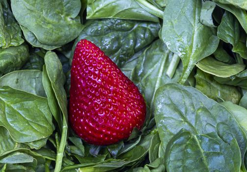 Macro Close Up Fruit and Spinach green and red