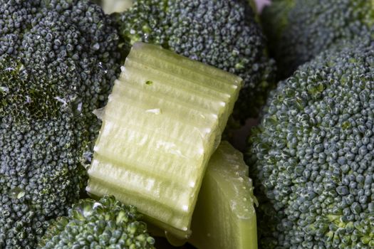 Close Up Vegetables broccoli and colliflower and onion red
