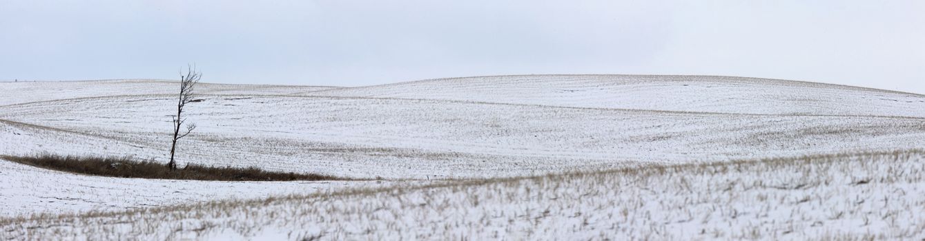 Landscape Saskatchewan Prairie Rurual Scene Panorama snowfall