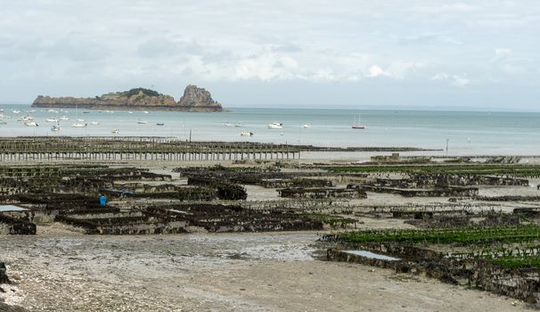 Travel for oysters in Cancale Britanny village on sea view tourism