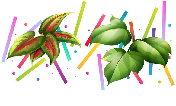 different types of leaves on colorful art background