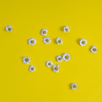 some daisies scattered on a yellow surface