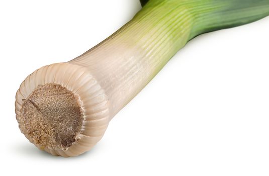 Fresh green leek closeup isolated on white background