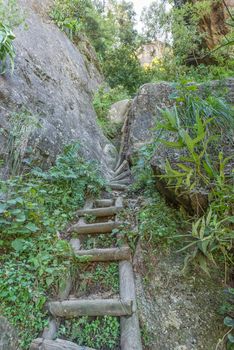 One of many ladders on the Mudslide hiking trail to the top of Ploughmans Kop near Mahai in the Drakensberg