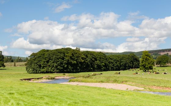 The view across Leader Water towards the Lauderdale landscape in the Scottish Borders.