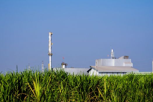 Smokestacks and factories in sugarcane farms