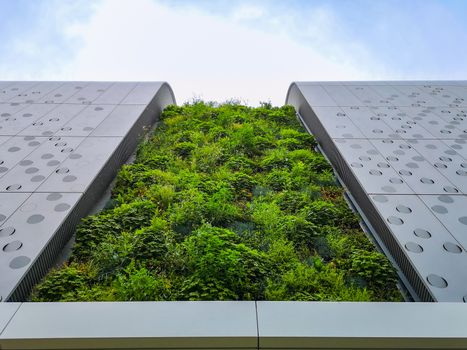 Beautiful green garden embedded in front of modern building wall in Wroclaw City