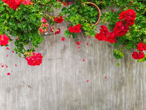 Light background with green and red flowers on top