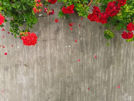 Light background with green and red flowers on top