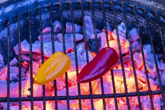 glowin charcoal with two bell peppers