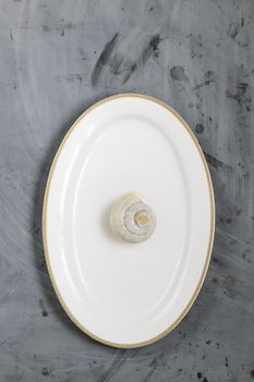 White Plate with Snail on Grey Concrete Background. Copy space.