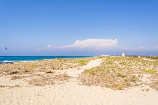 Agios Ioannis beach in Lefkas island Greece. Colorful power kites span across the sky from kite-surfers.