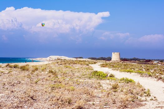 Agios Ioannis beach in Lefkas island Greece. Colorful power kites span across the sky from kite-surfers.