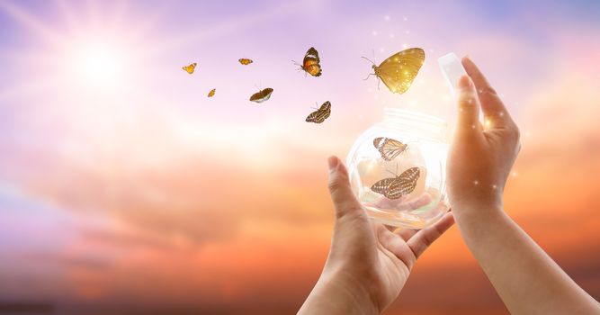 The girl frees the butterfly from the jar, golden blue moment Concept of freedom