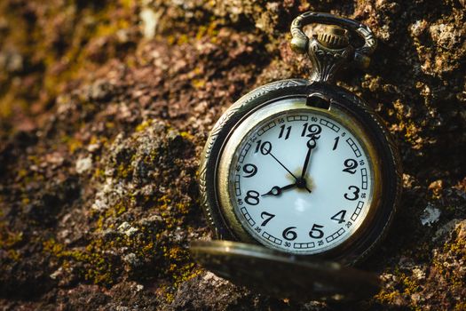 Vintage old pocket watch placed on the rock in forest and morning sunlight. At 8 o’clock. Closeup and copy space.