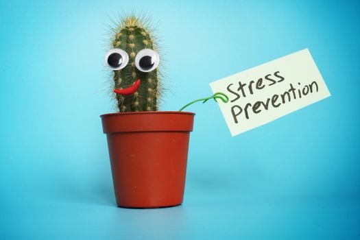 Stress prevention sign and cactus with smile.