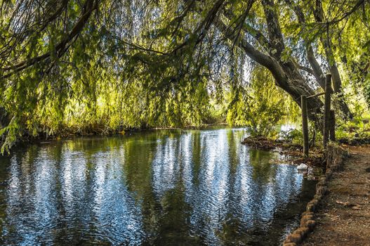 panorama of a lake in Tuscany at sunny day