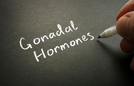 Gonadal hormones handwritten on the black page.