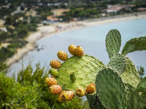 View on coast of Sardinia, Italian island in the mediterranean sea.
