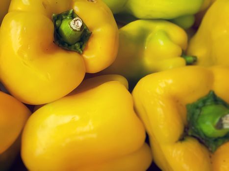 a group of yellow bell peppers. Healthy food an agriculture