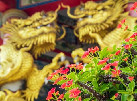 Gold dragon and Crown of Thorns, Sacred plant and heaven animal sculpture in Chinese religious venues