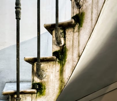 the marble steps of a spiral staircase. Traces of moss and moisture on the wall